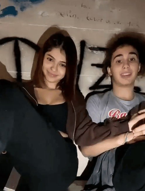 Amelya'nın İçerikleri